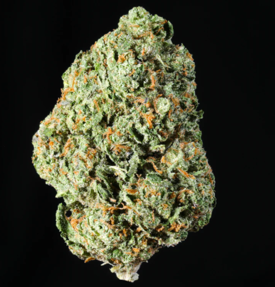Blueberry Pancakes Flower